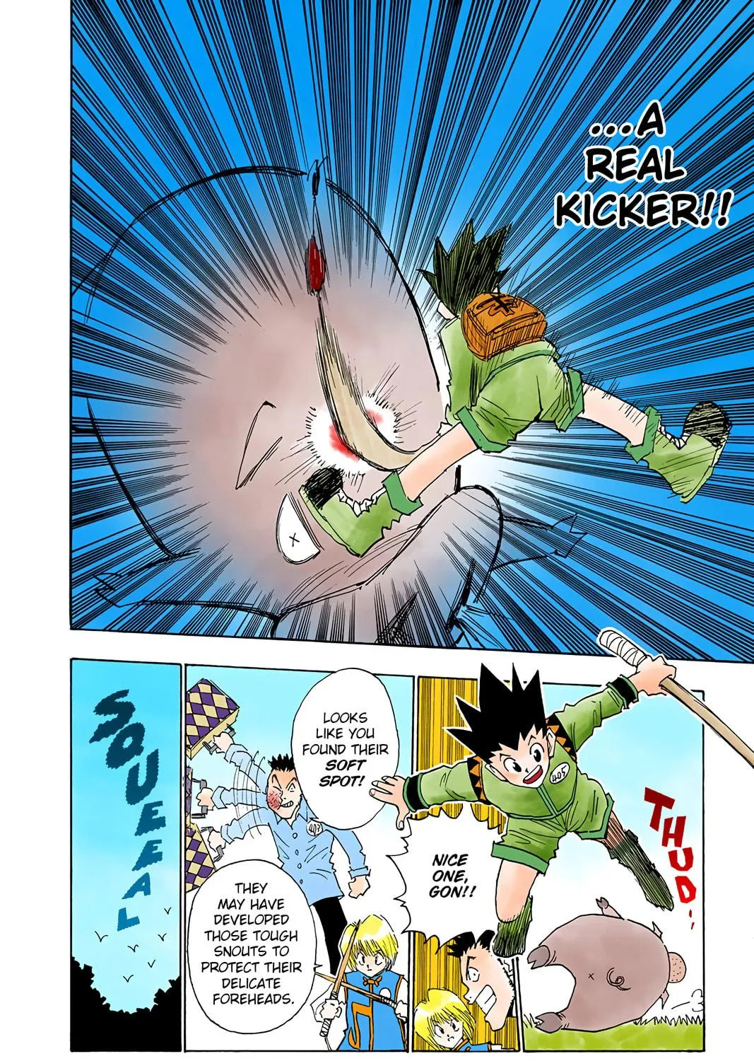 Hunter x Hunter Colored Manga