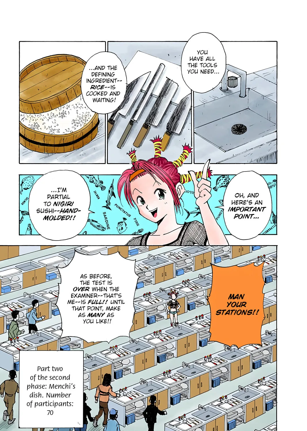 Hunter x Hunter Colored Manga