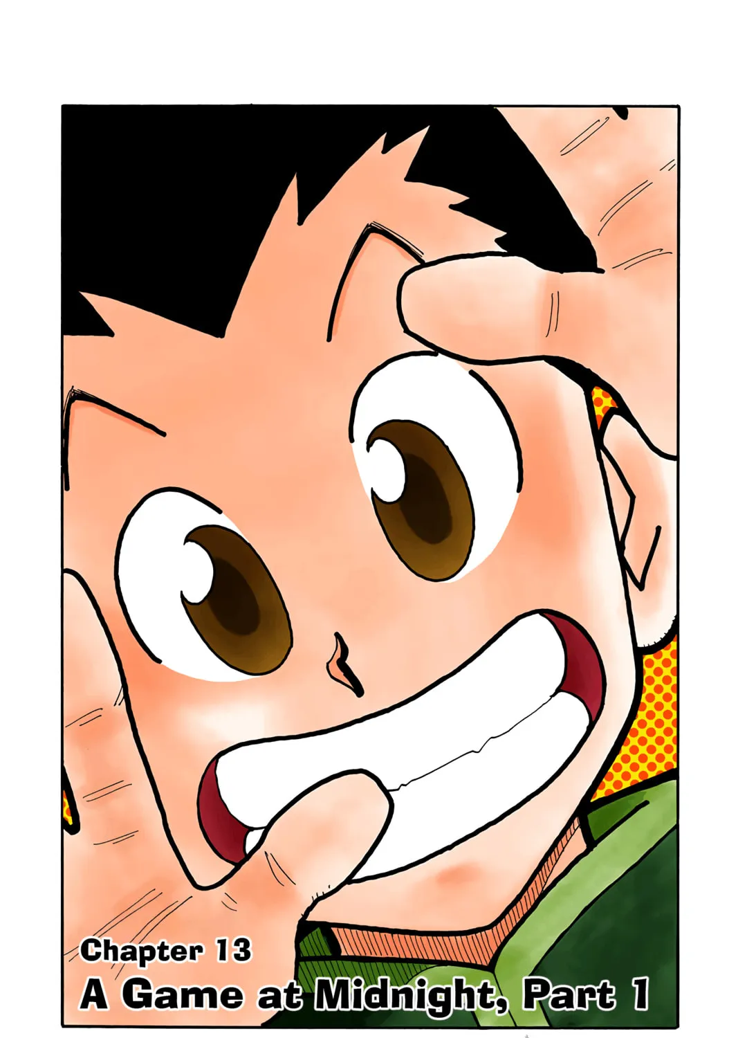 Hunter x Hunter Colored Manga