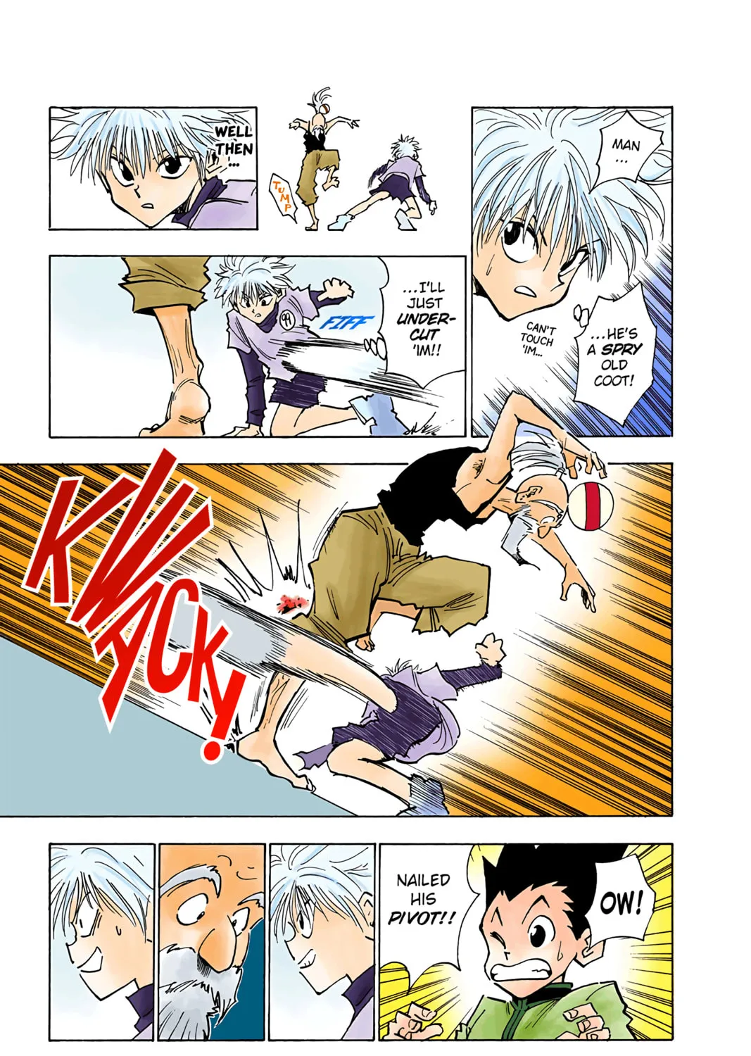 Hunter x Hunter Colored Manga