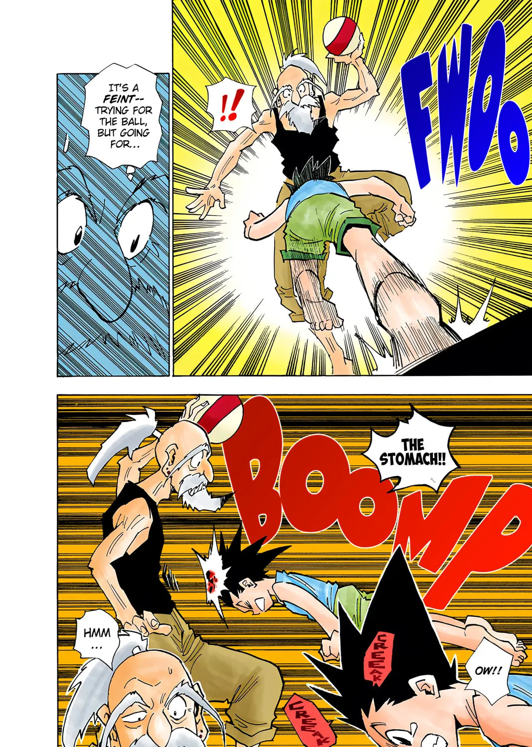 Hunter x Hunter Colored Manga