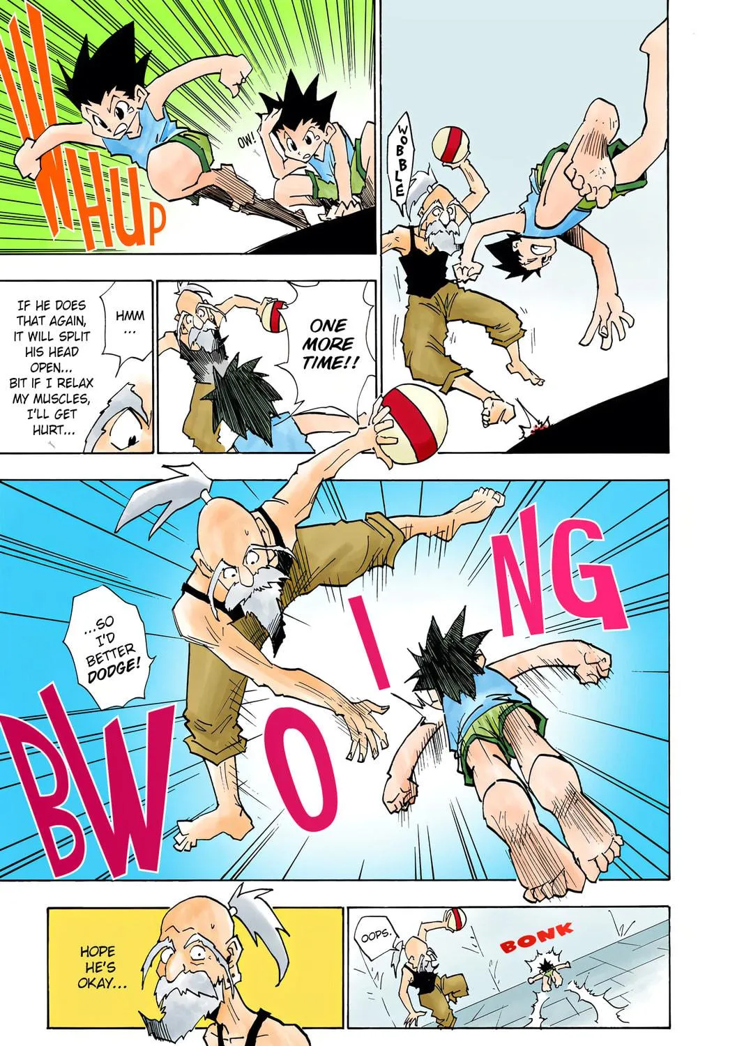 Hunter x Hunter Colored Manga