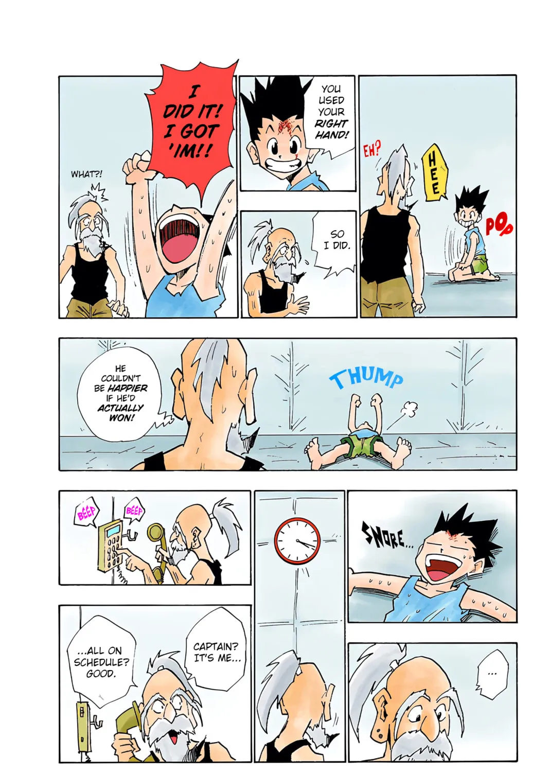 Hunter x Hunter Colored Manga