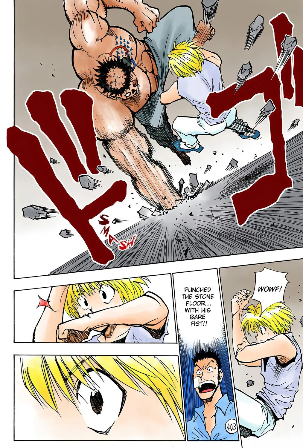 Hunter x Hunter Colored Manga