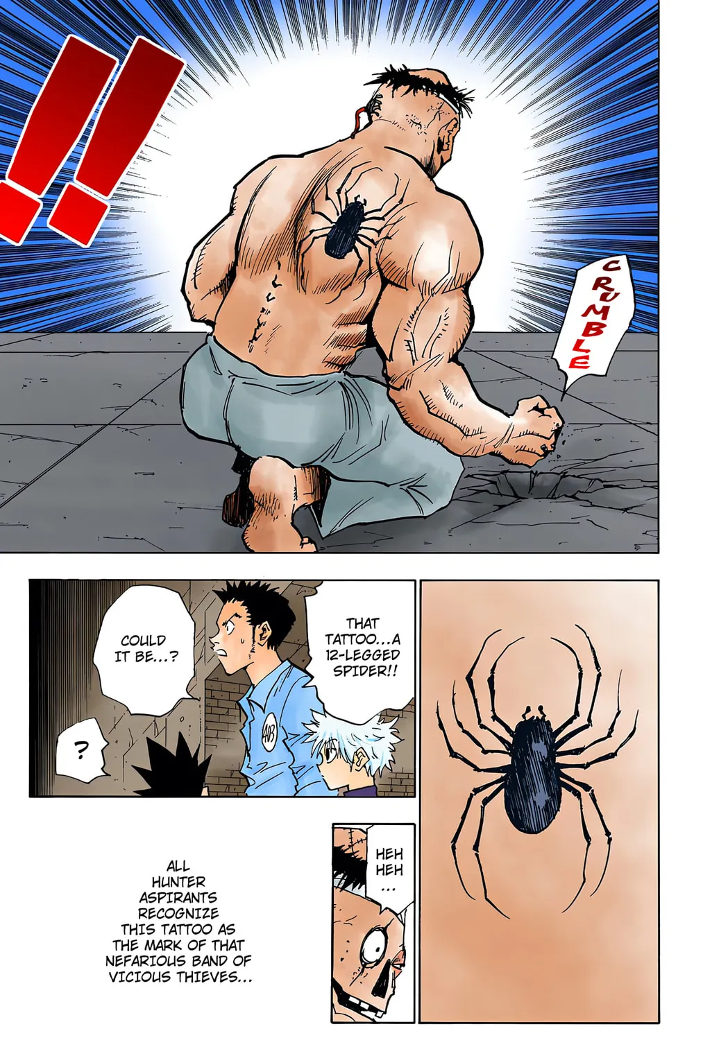 Hunter x Hunter Colored Manga
