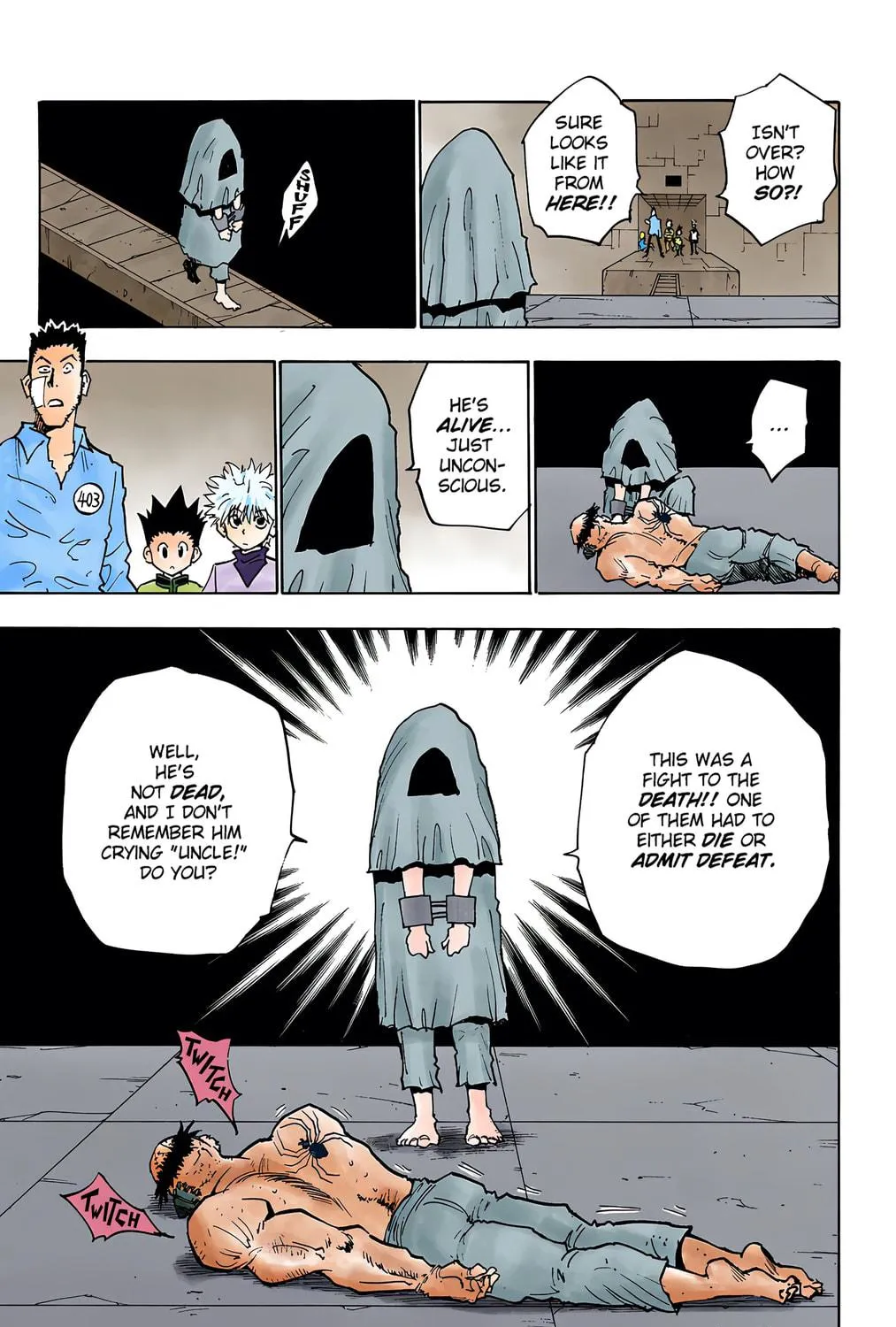 Hunter x Hunter Colored Manga