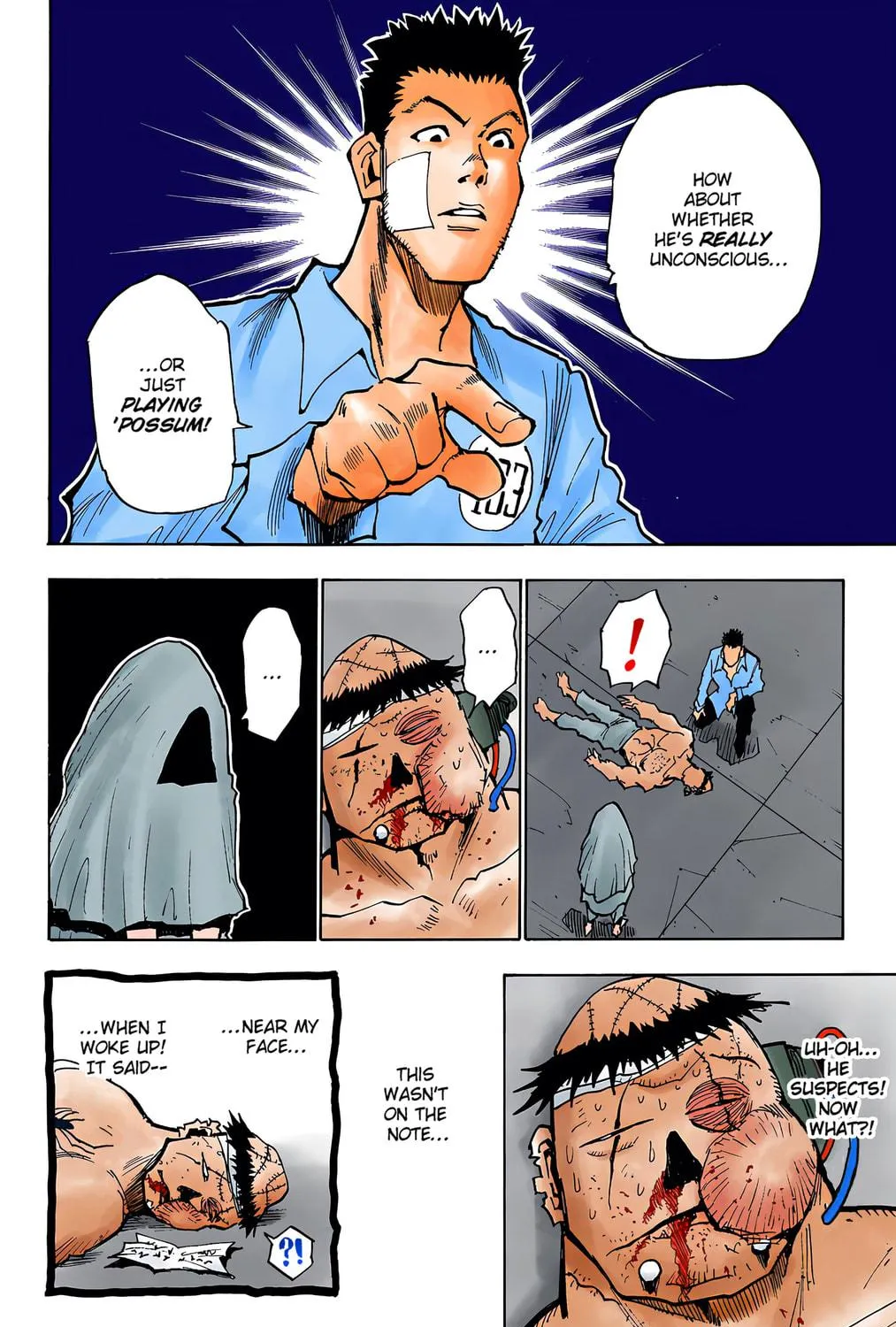 Hunter x Hunter Colored Manga