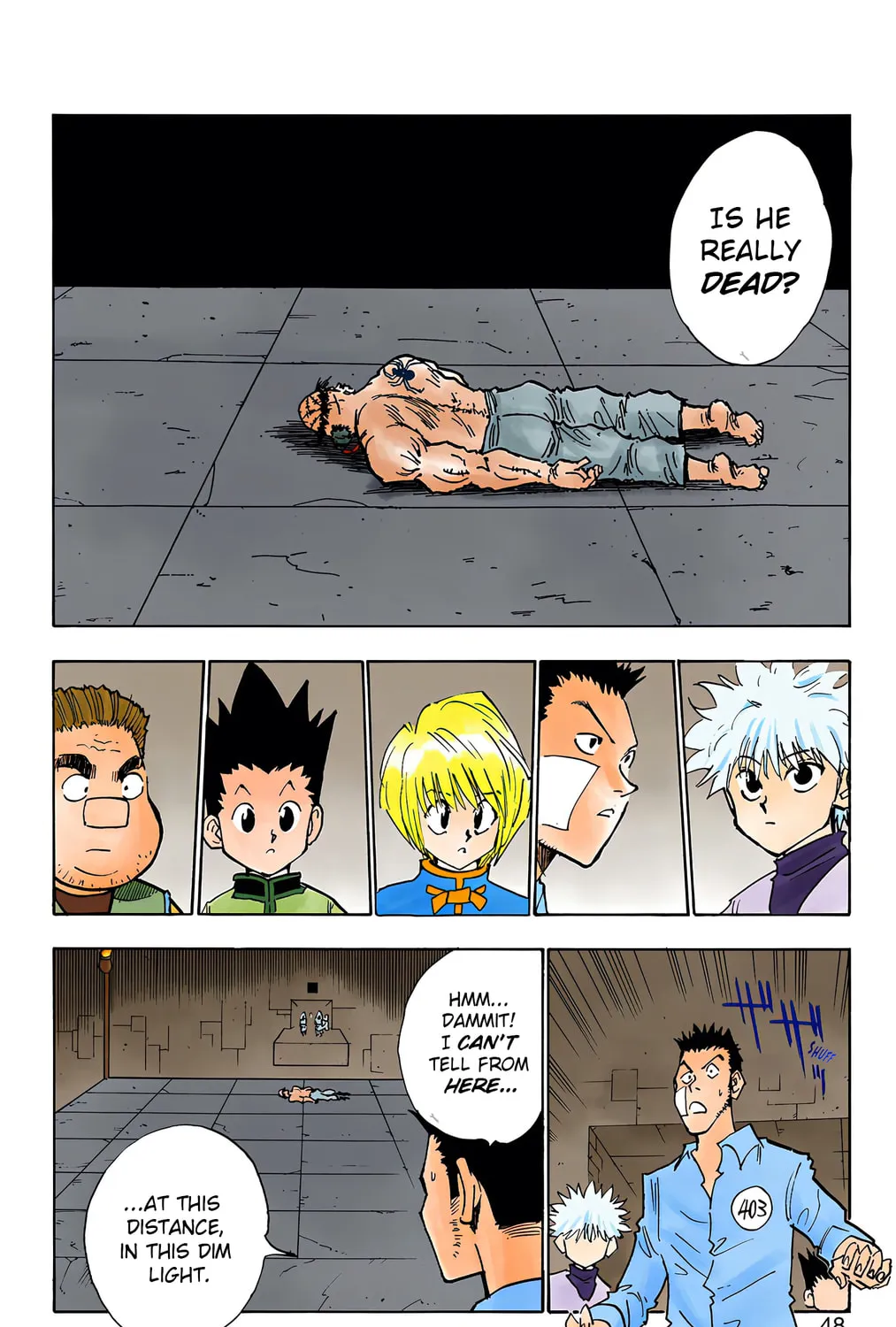 Hunter x Hunter Colored Manga