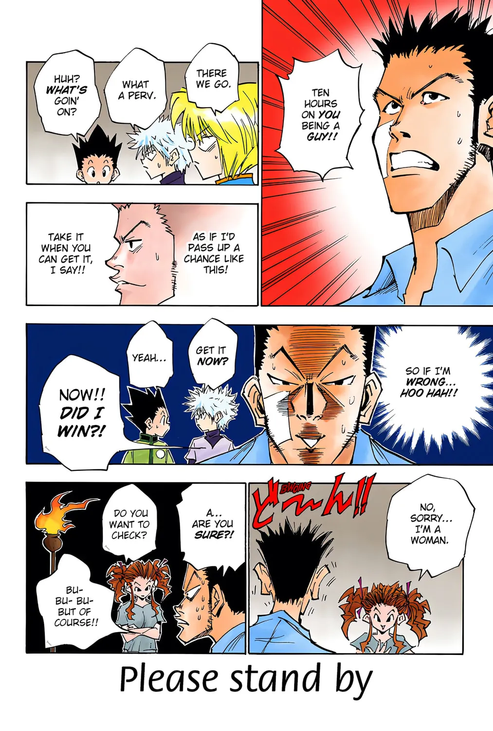 Hunter x Hunter Colored Manga