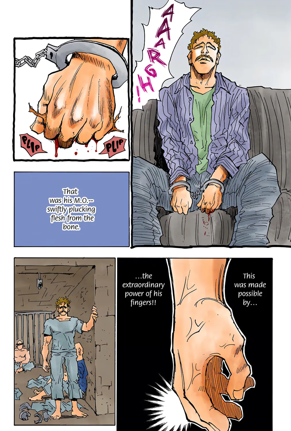 Hunter x Hunter Colored Manga