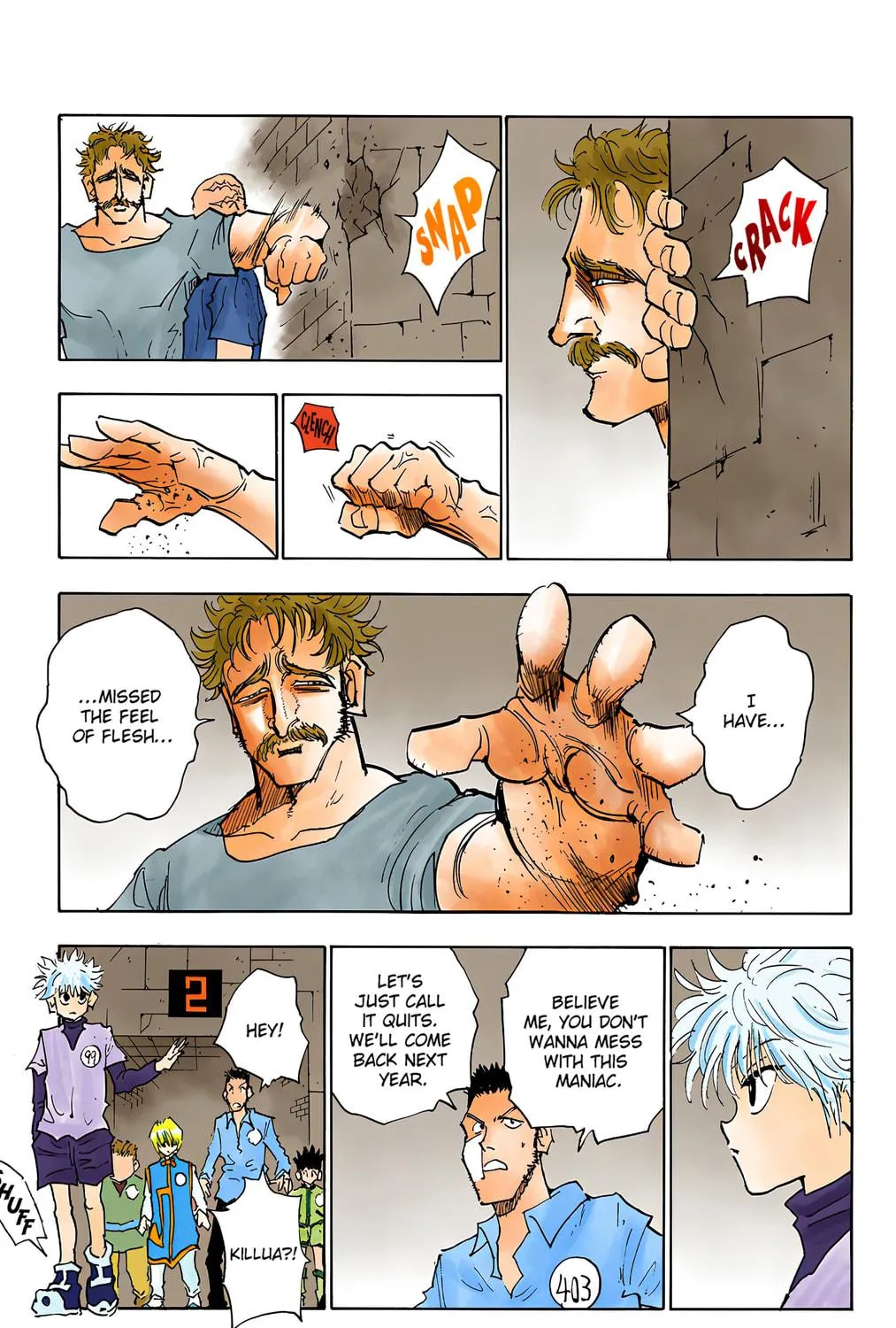 Hunter x Hunter Colored Manga