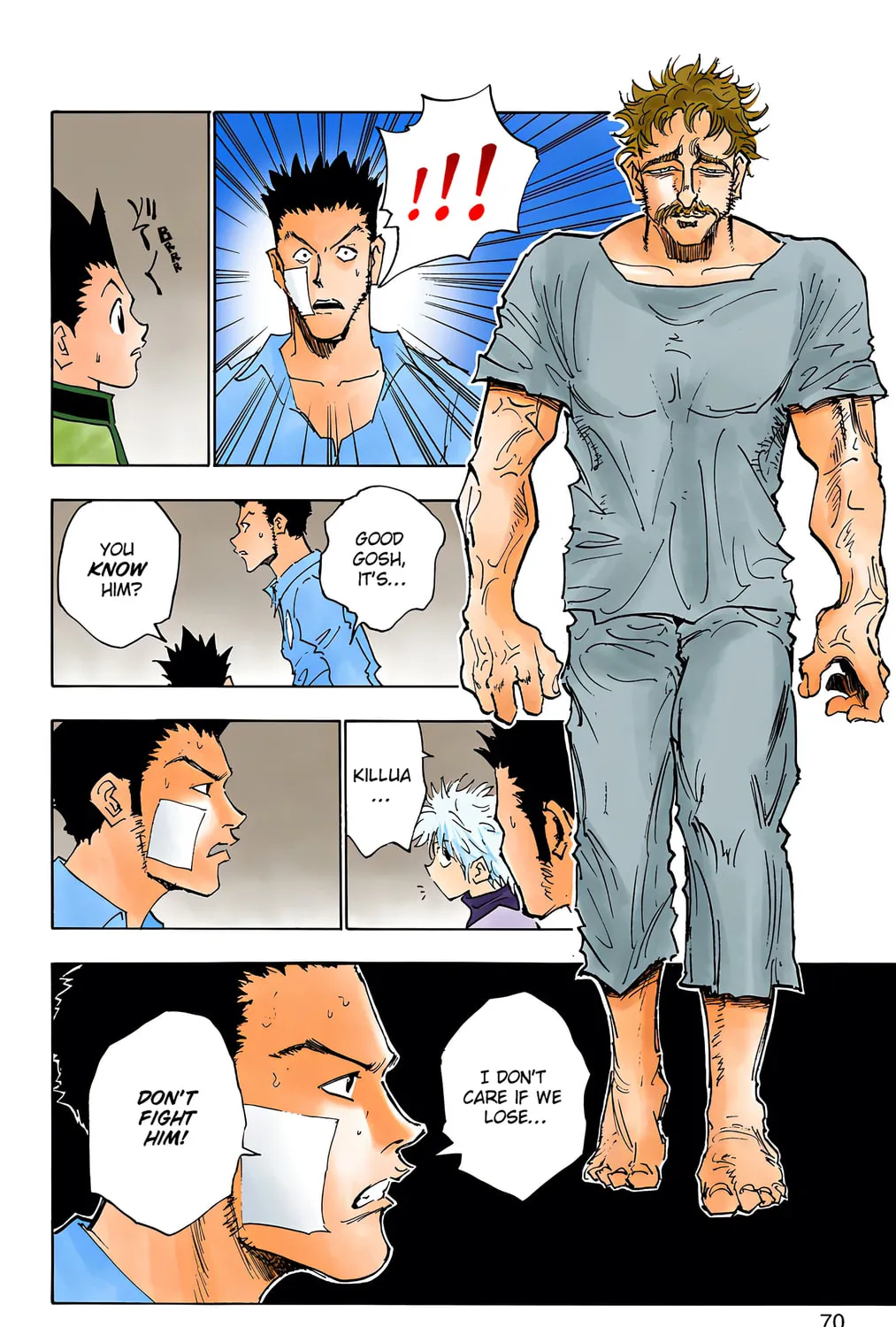 Hunter x Hunter Colored Manga