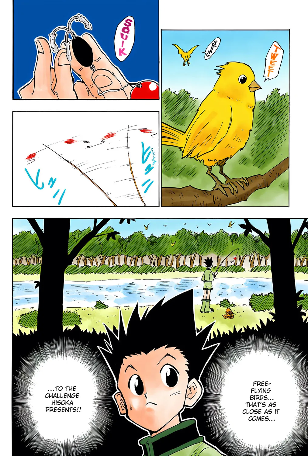 Hunter x Hunter Colored Manga