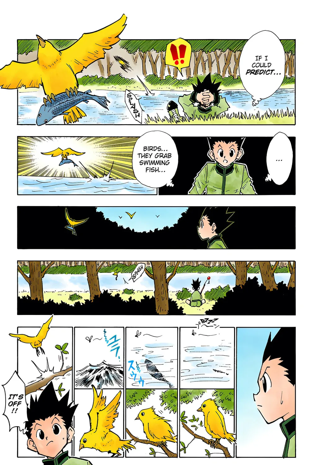 Hunter x Hunter Colored Manga