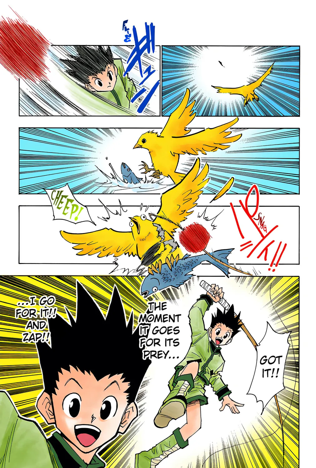 Hunter x Hunter Colored Manga