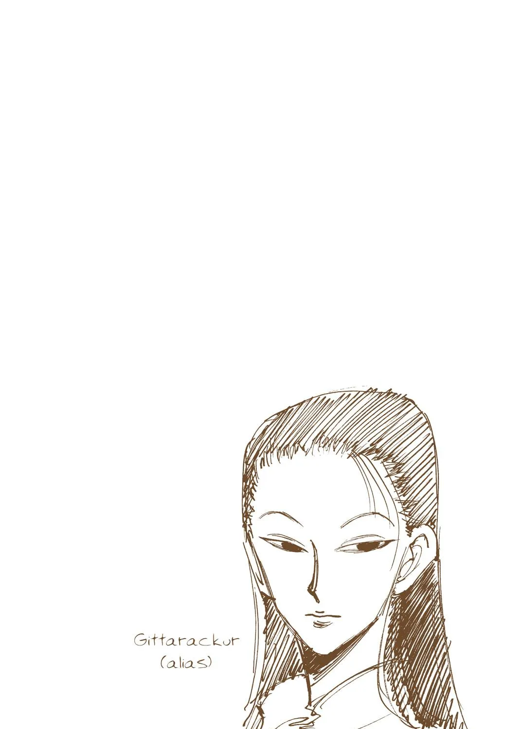 Hunter x Hunter Colored Manga