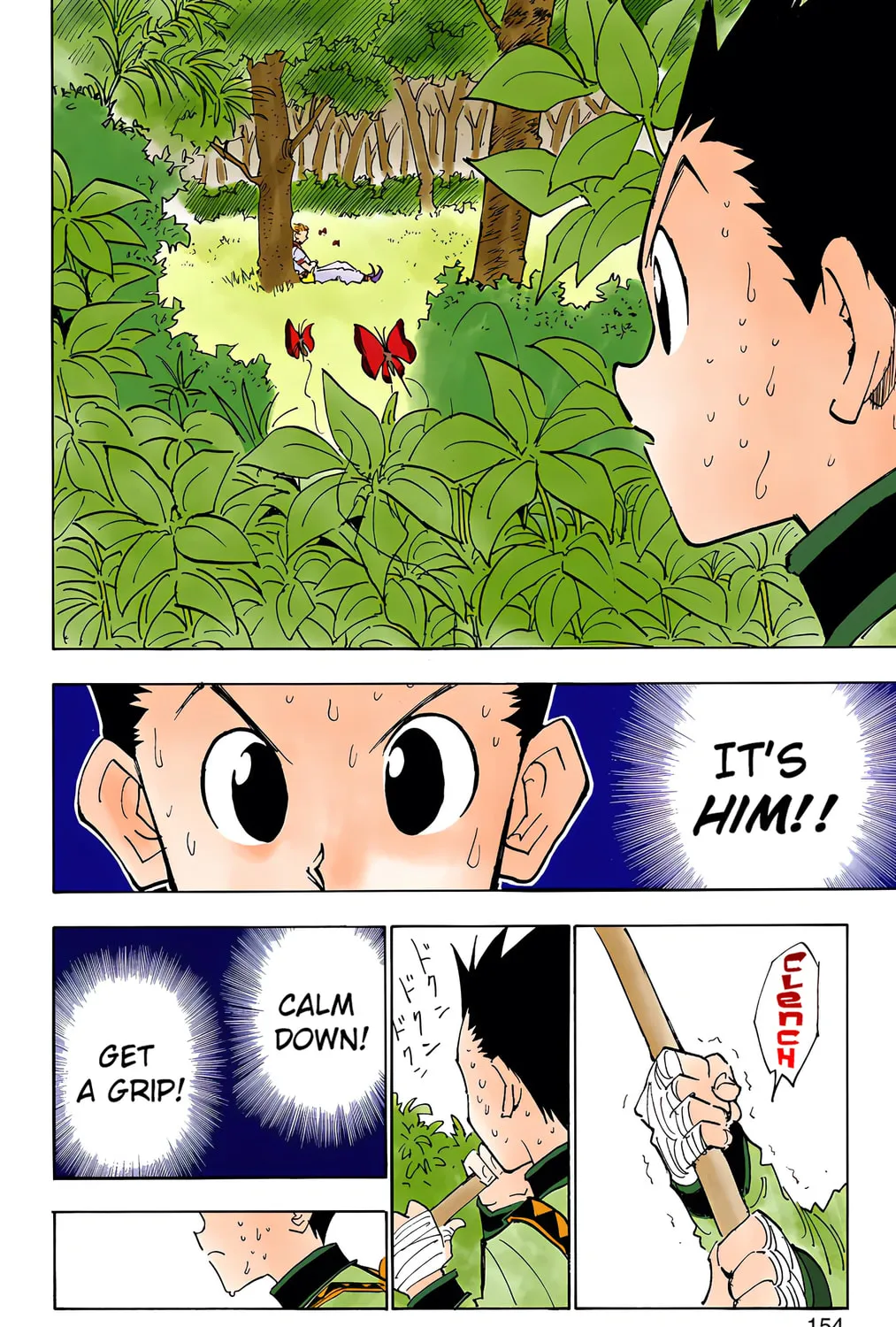Hunter x Hunter Colored Manga