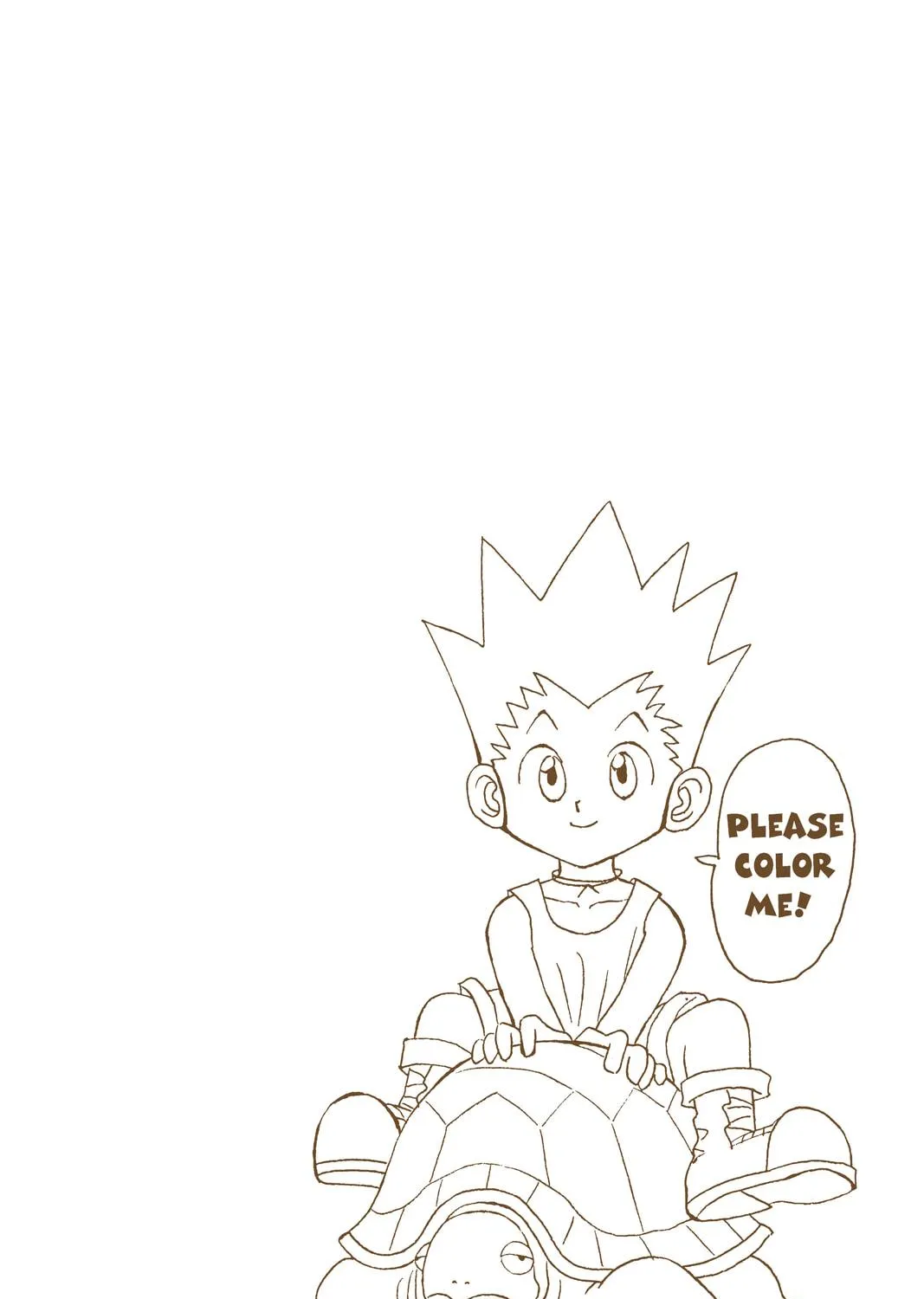 Hunter x Hunter Colored Manga