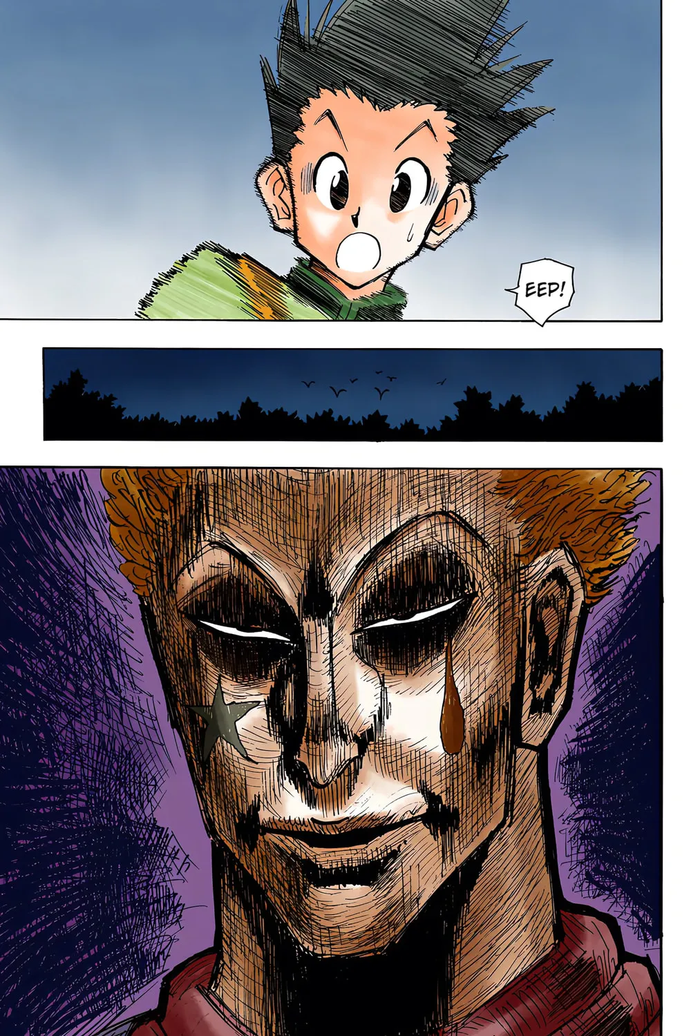 Hunter x Hunter Colored Manga