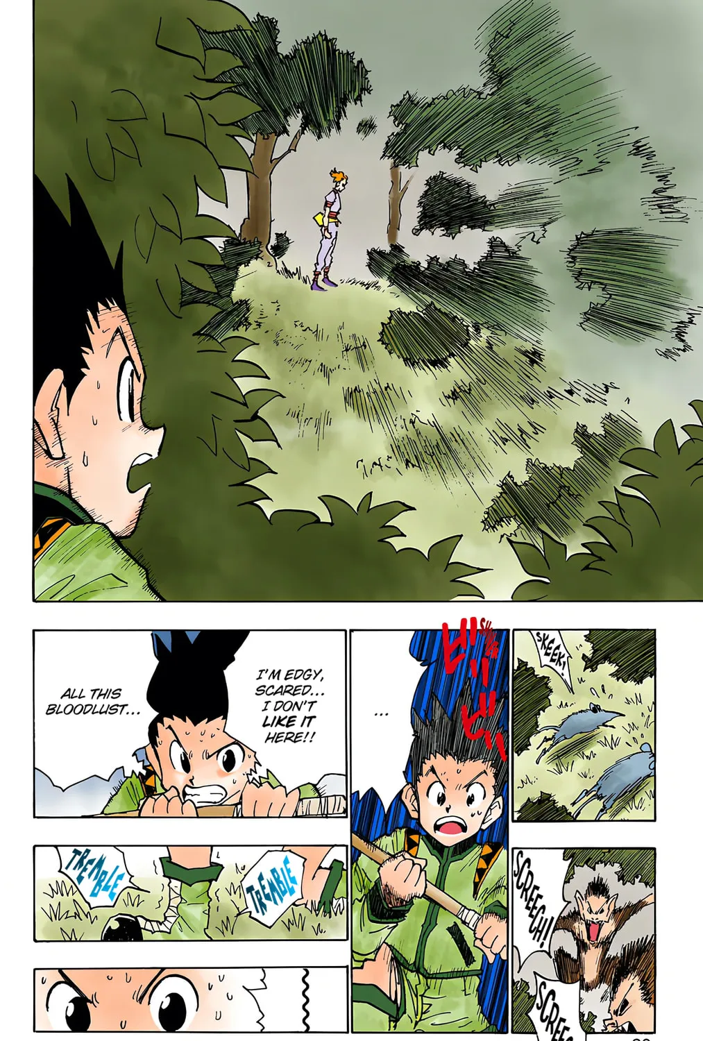 Hunter x Hunter Colored Manga