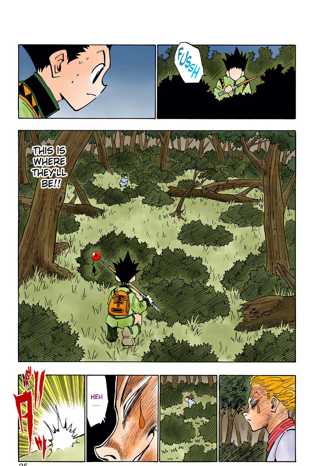 Hunter x Hunter Colored Manga