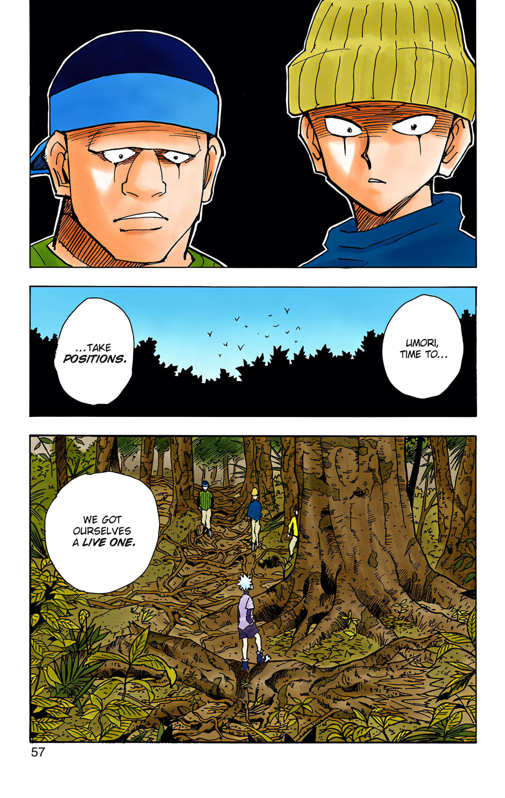 Hunter x Hunter Colored Manga