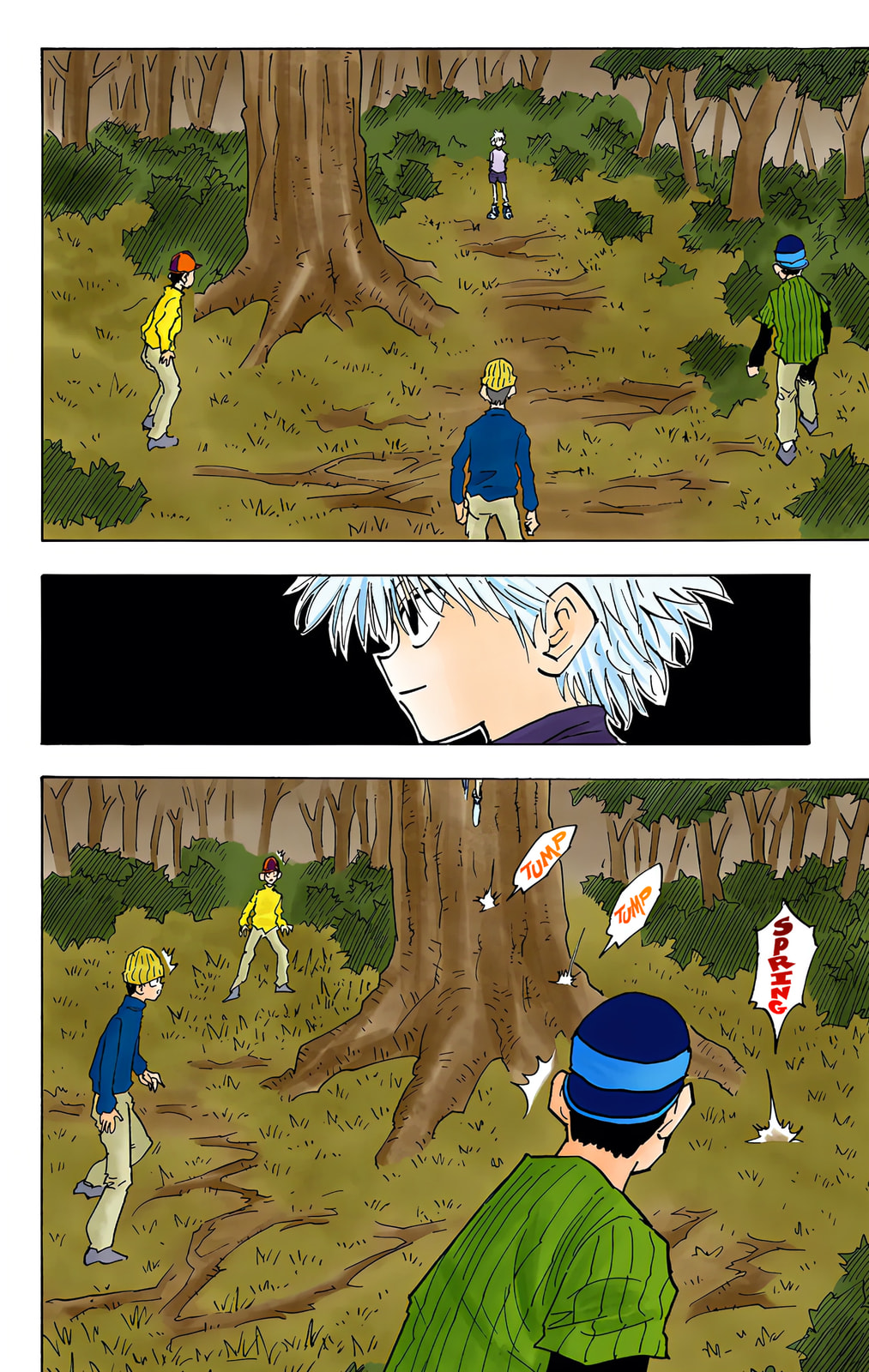 Hunter x Hunter Colored Manga