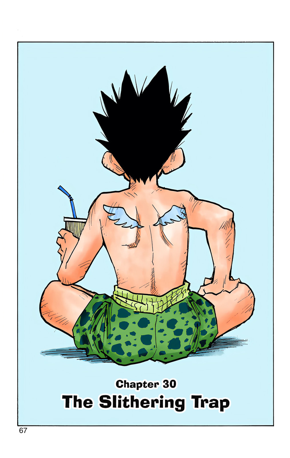 Hunter x Hunter Colored Manga