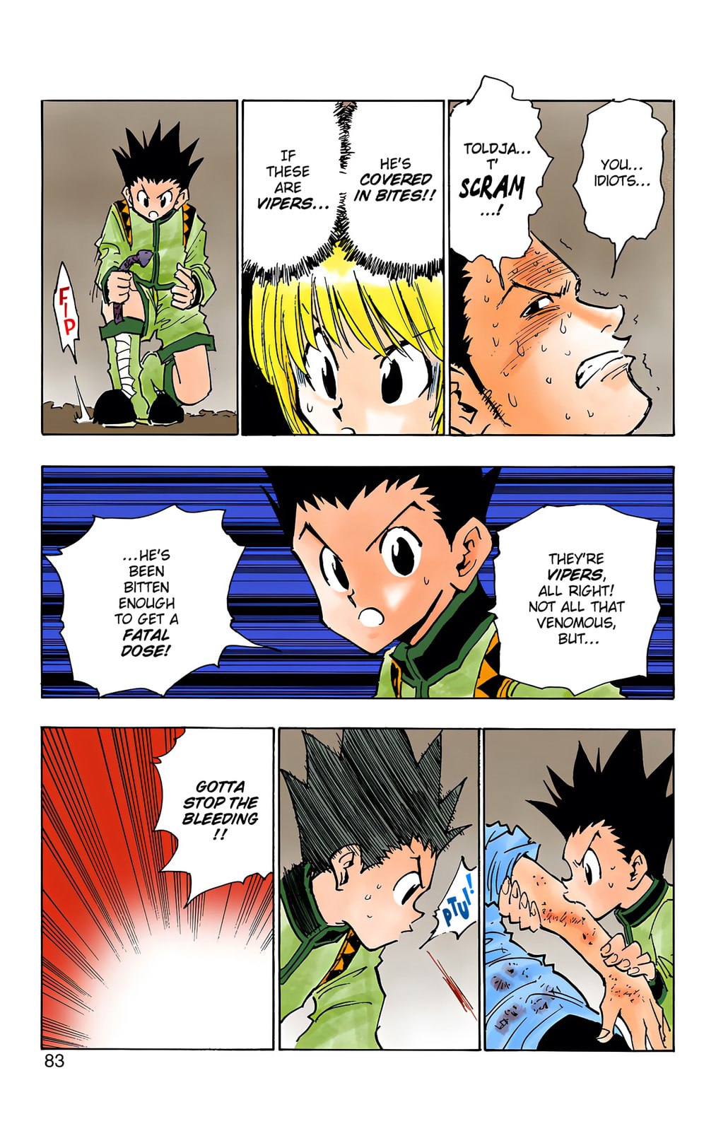 Hunter x Hunter Colored Manga