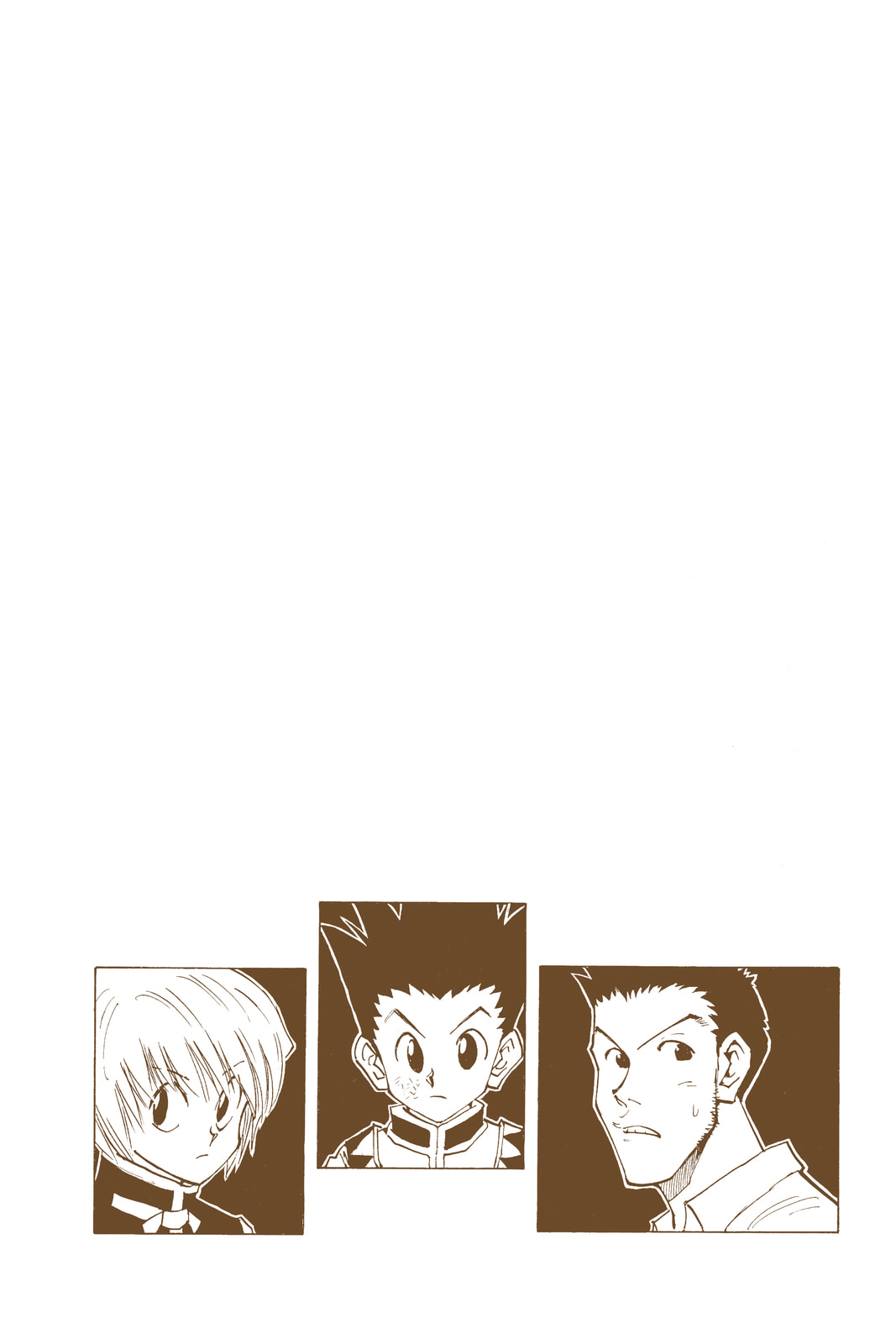 Hunter x Hunter Colored Manga