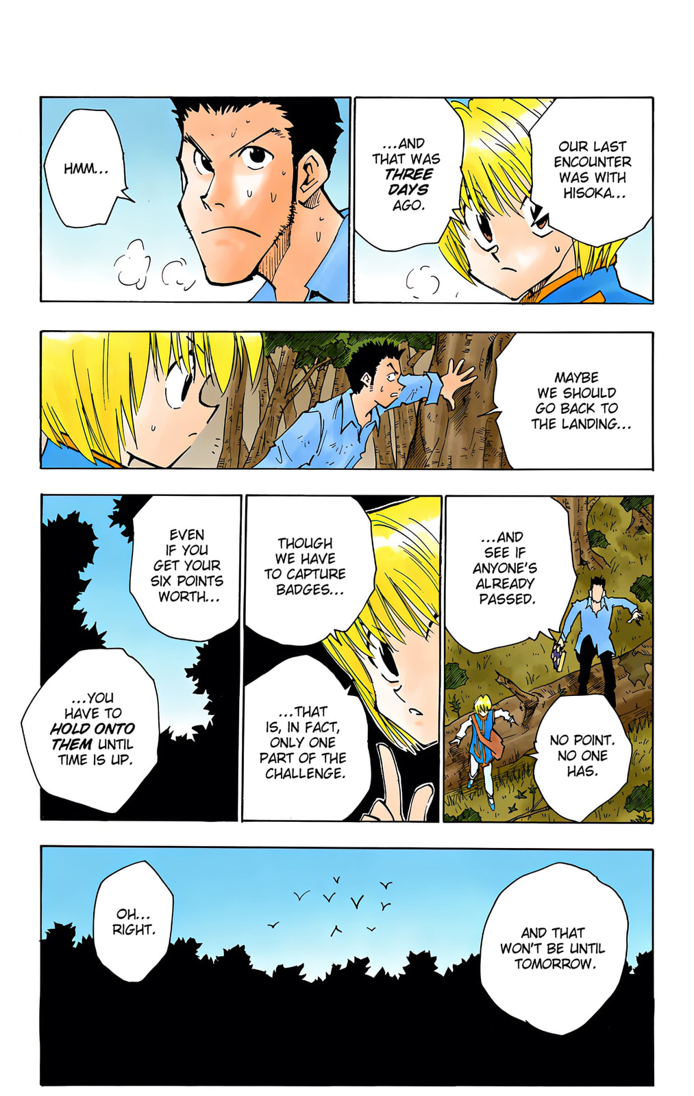 Hunter x Hunter Colored Manga