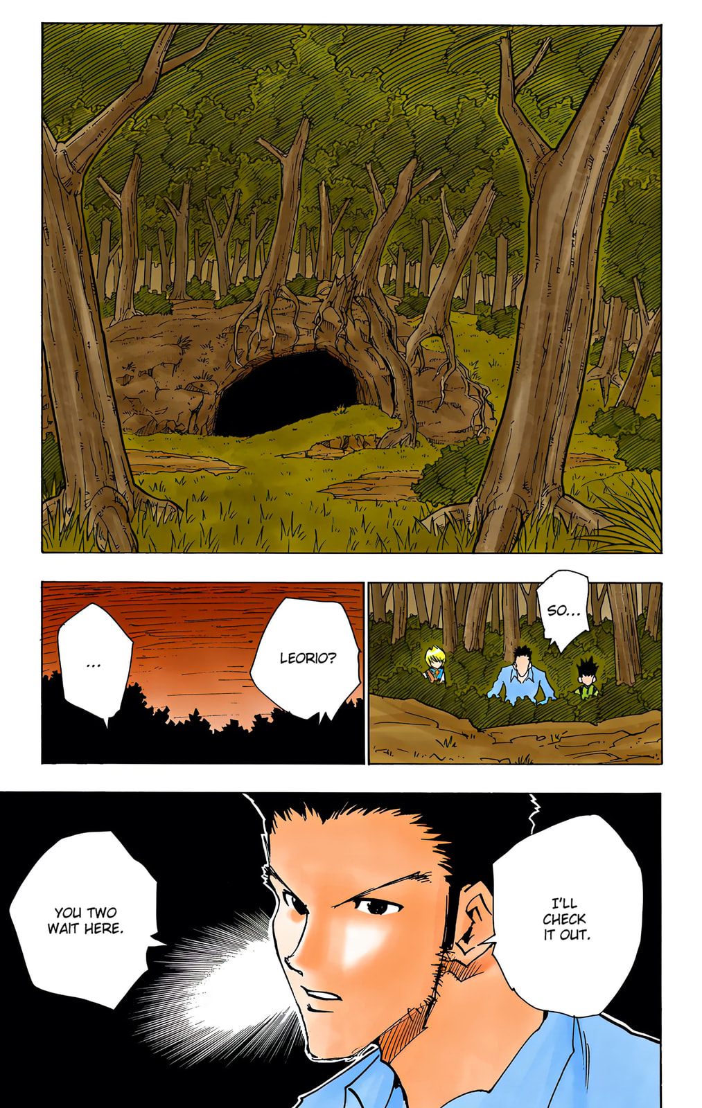 Hunter x Hunter Colored Manga