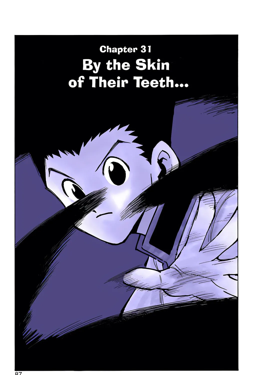 Hunter x Hunter Colored Manga