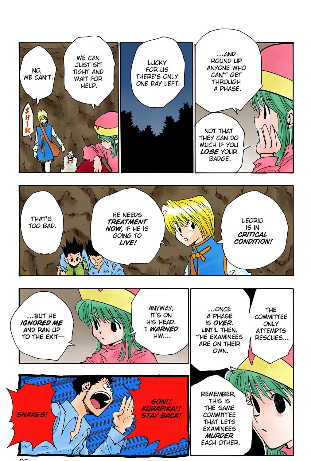 Hunter x Hunter Colored Manga