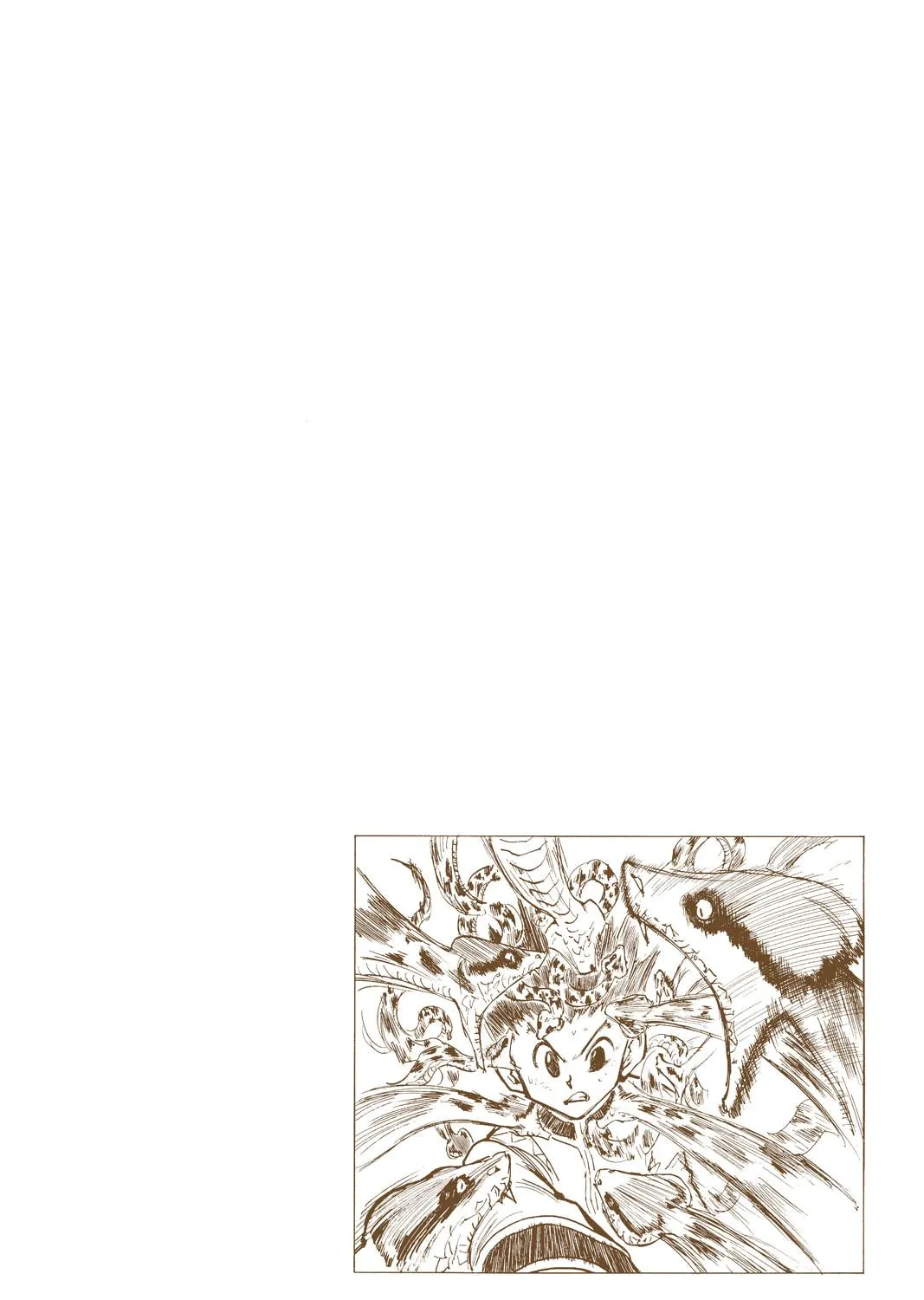 Hunter x Hunter Colored Manga