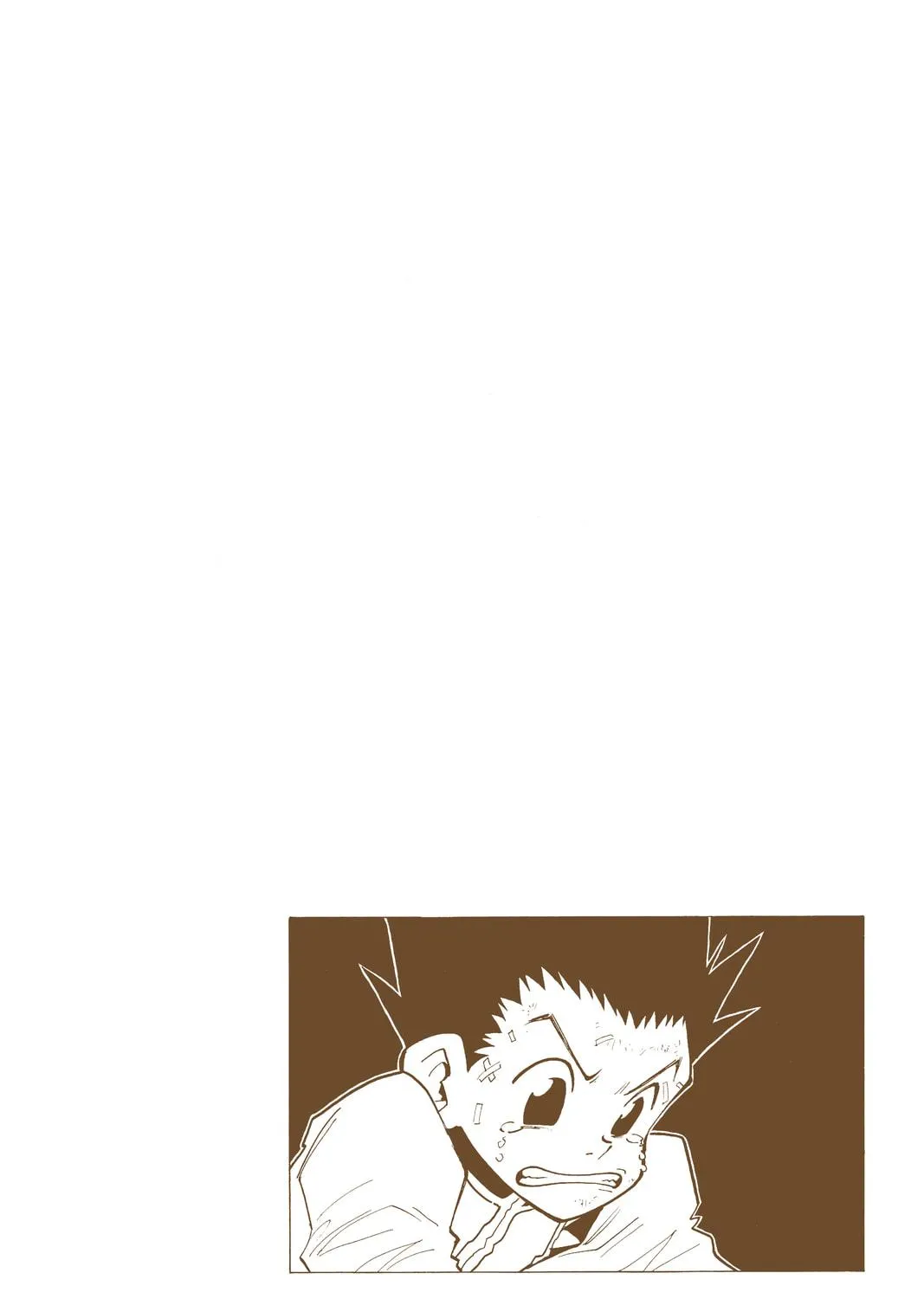 Hunter x Hunter Colored Manga