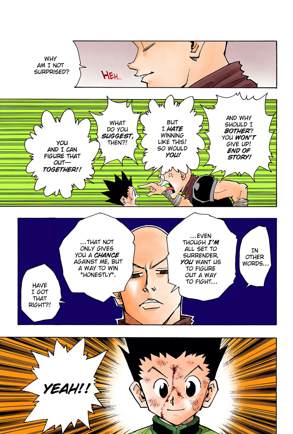 Hunter x Hunter Colored Manga