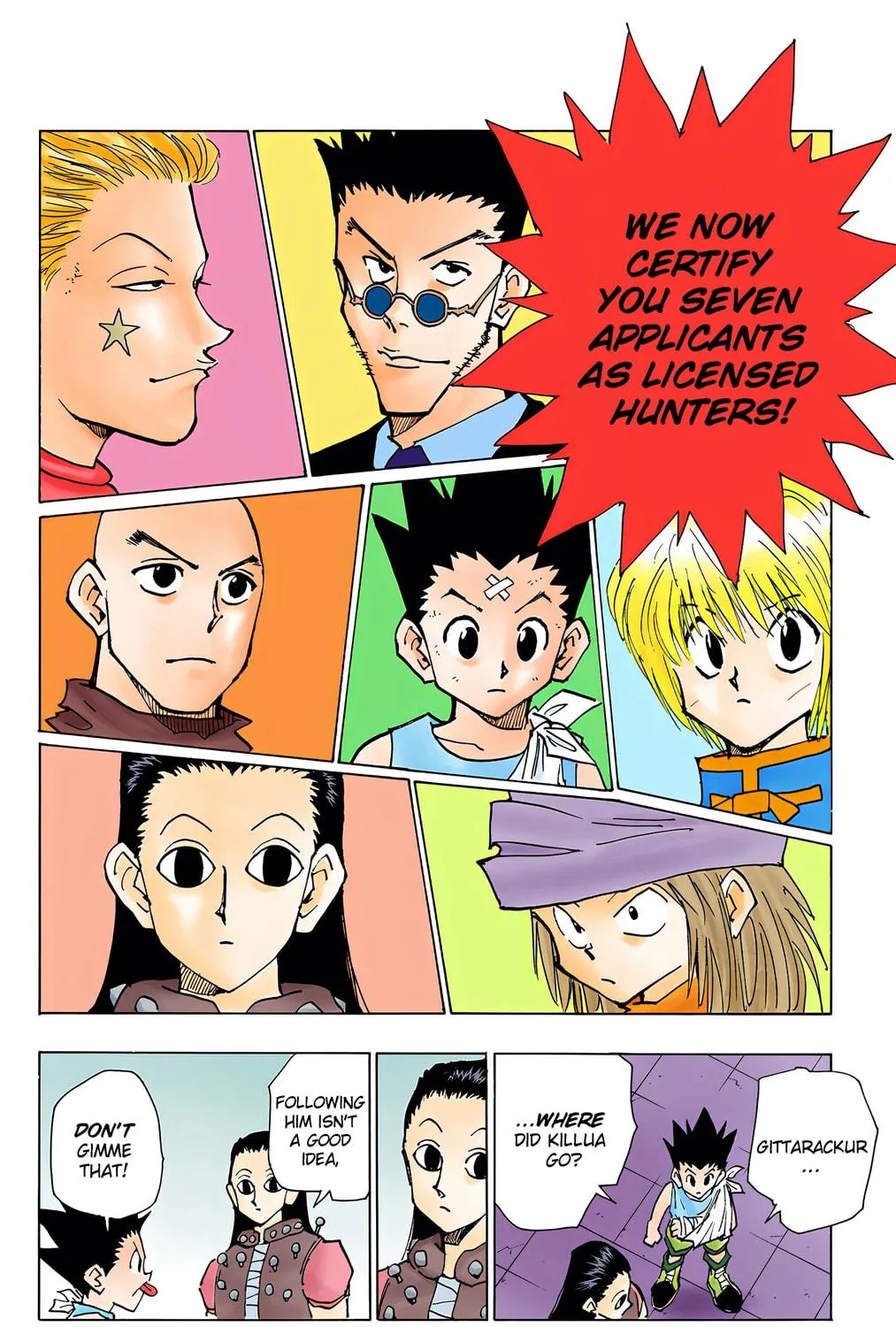 Hunter x Hunter Colored Manga