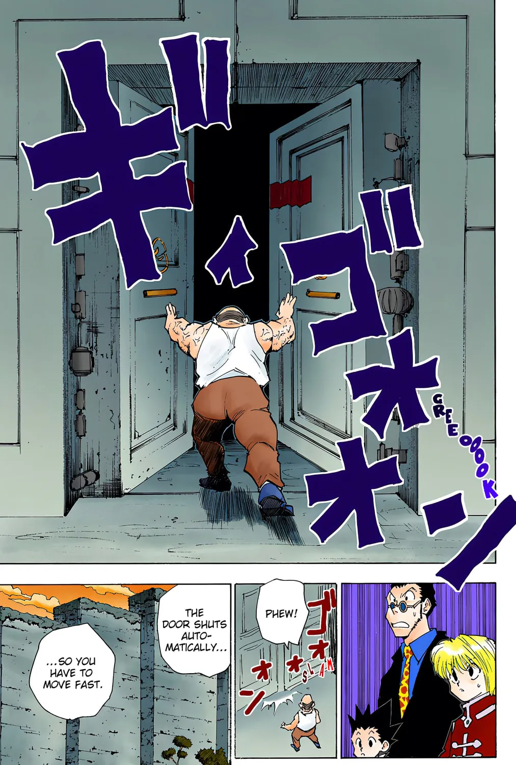 Hunter x Hunter Colored Manga