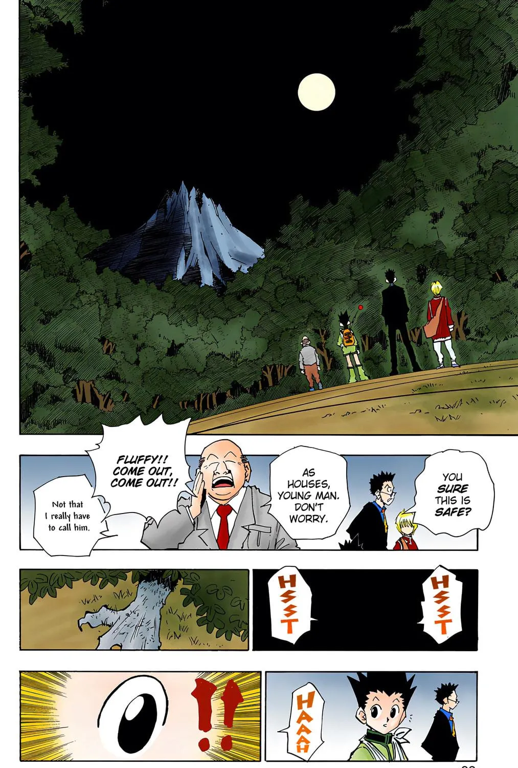 Hunter x Hunter Colored Manga