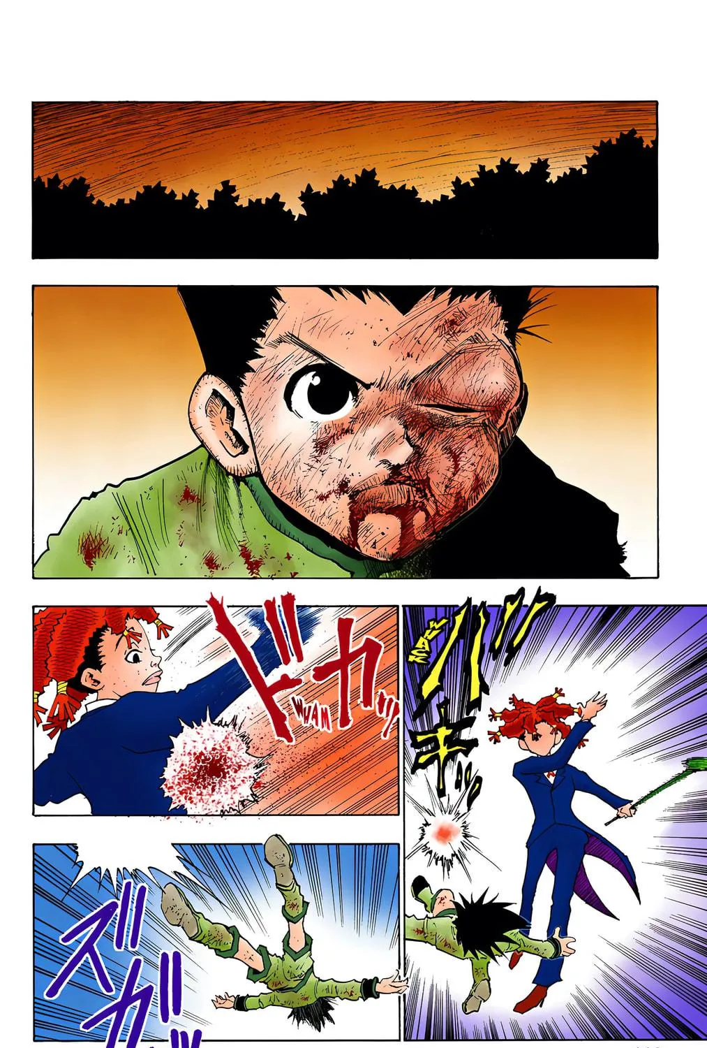 Hunter x Hunter Colored Manga