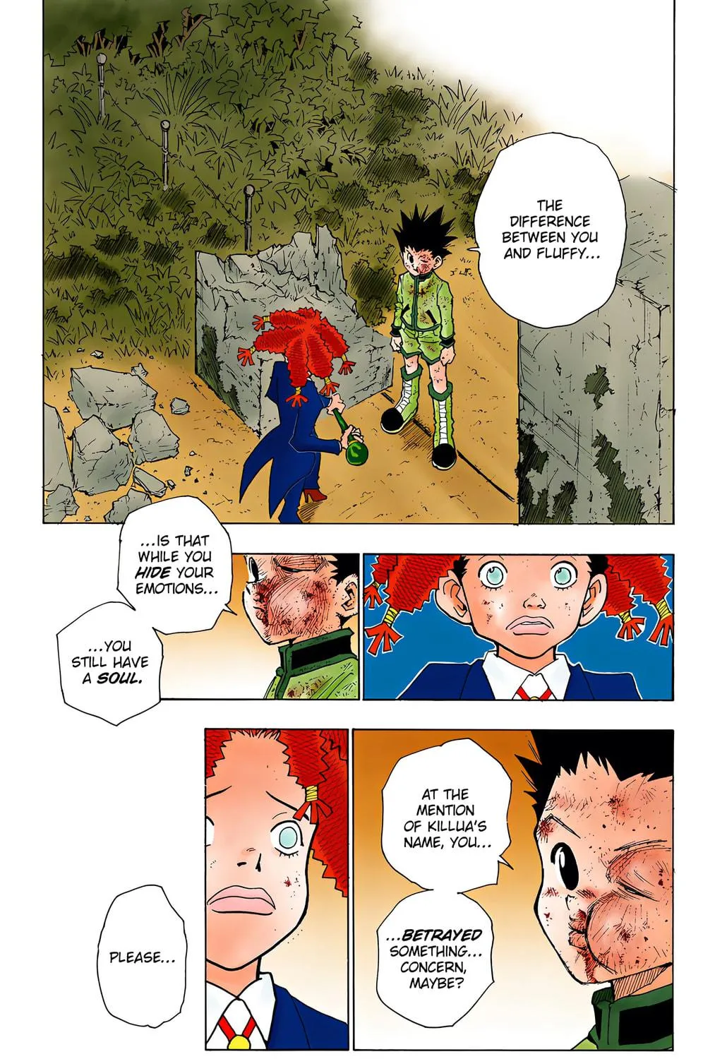 Hunter x Hunter Colored Manga