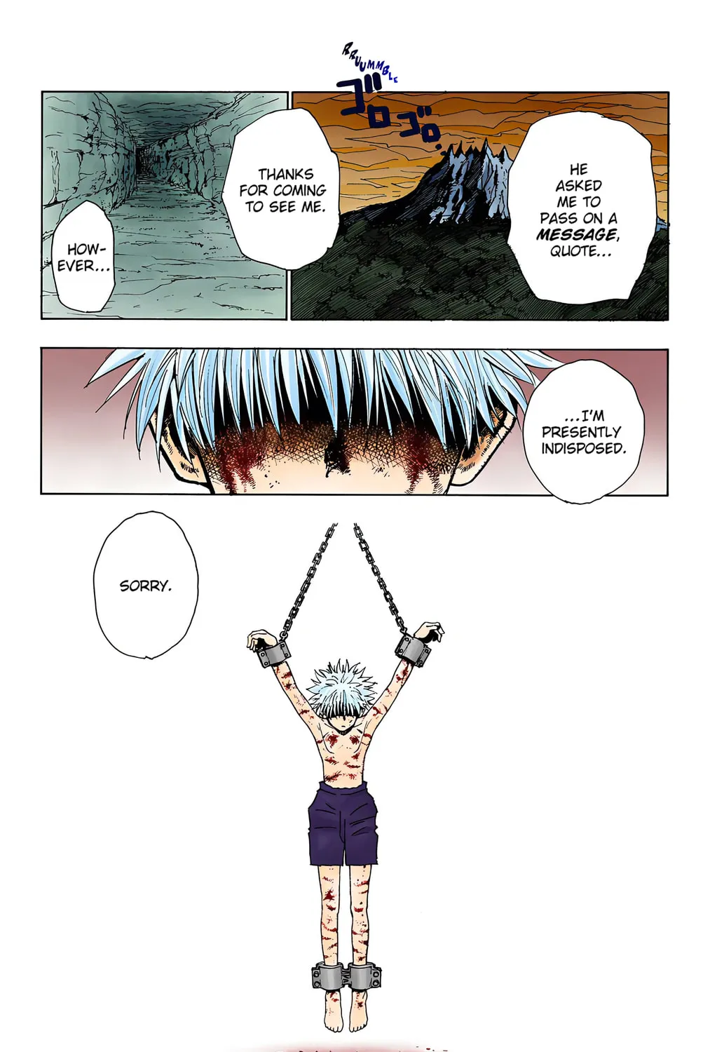 Hunter x Hunter Colored Manga