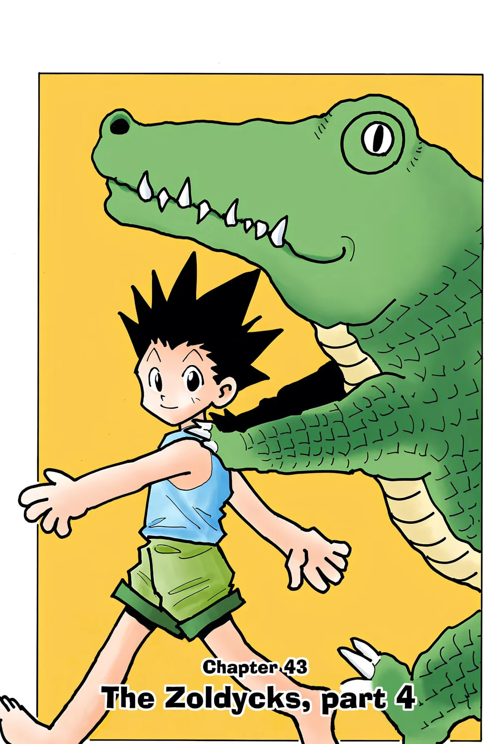 Hunter x Hunter Colored Manga