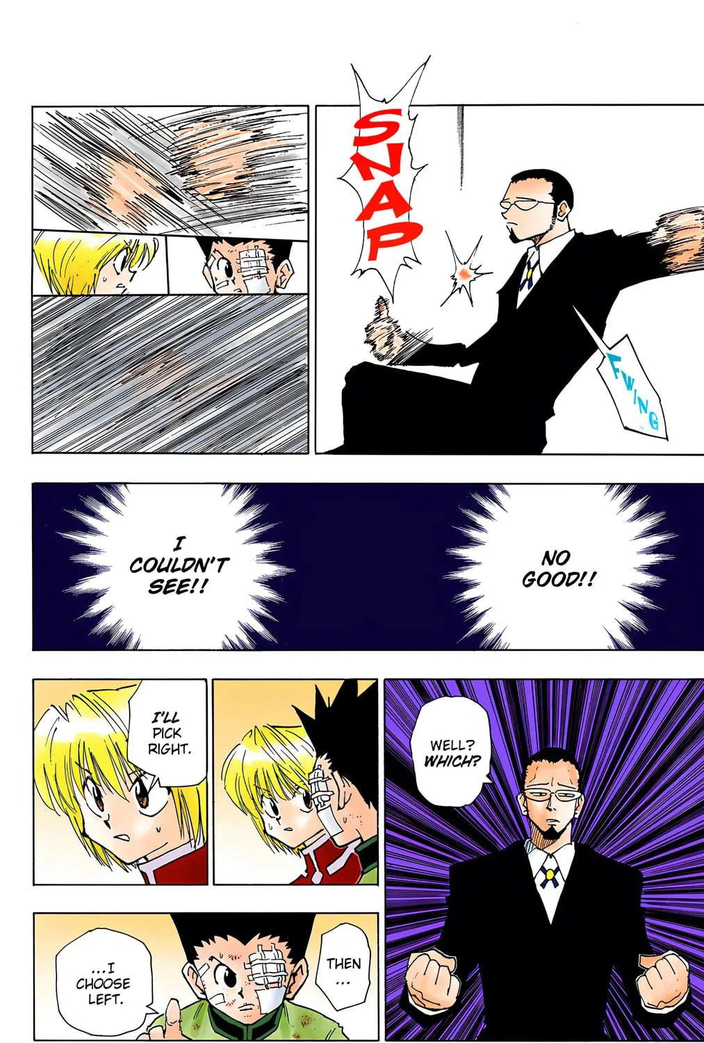 Hunter x Hunter Colored Manga