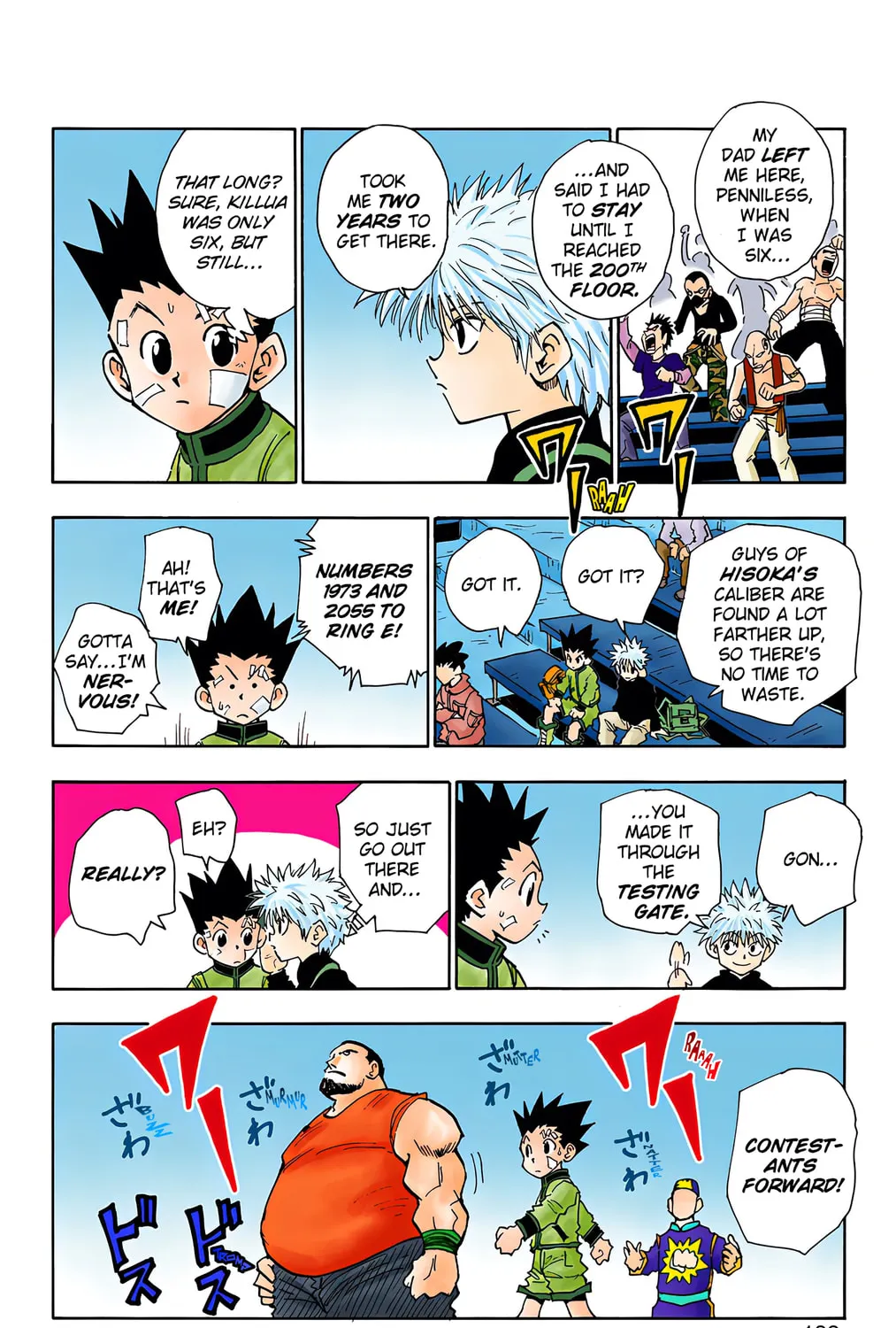 Hunter x Hunter Colored Manga