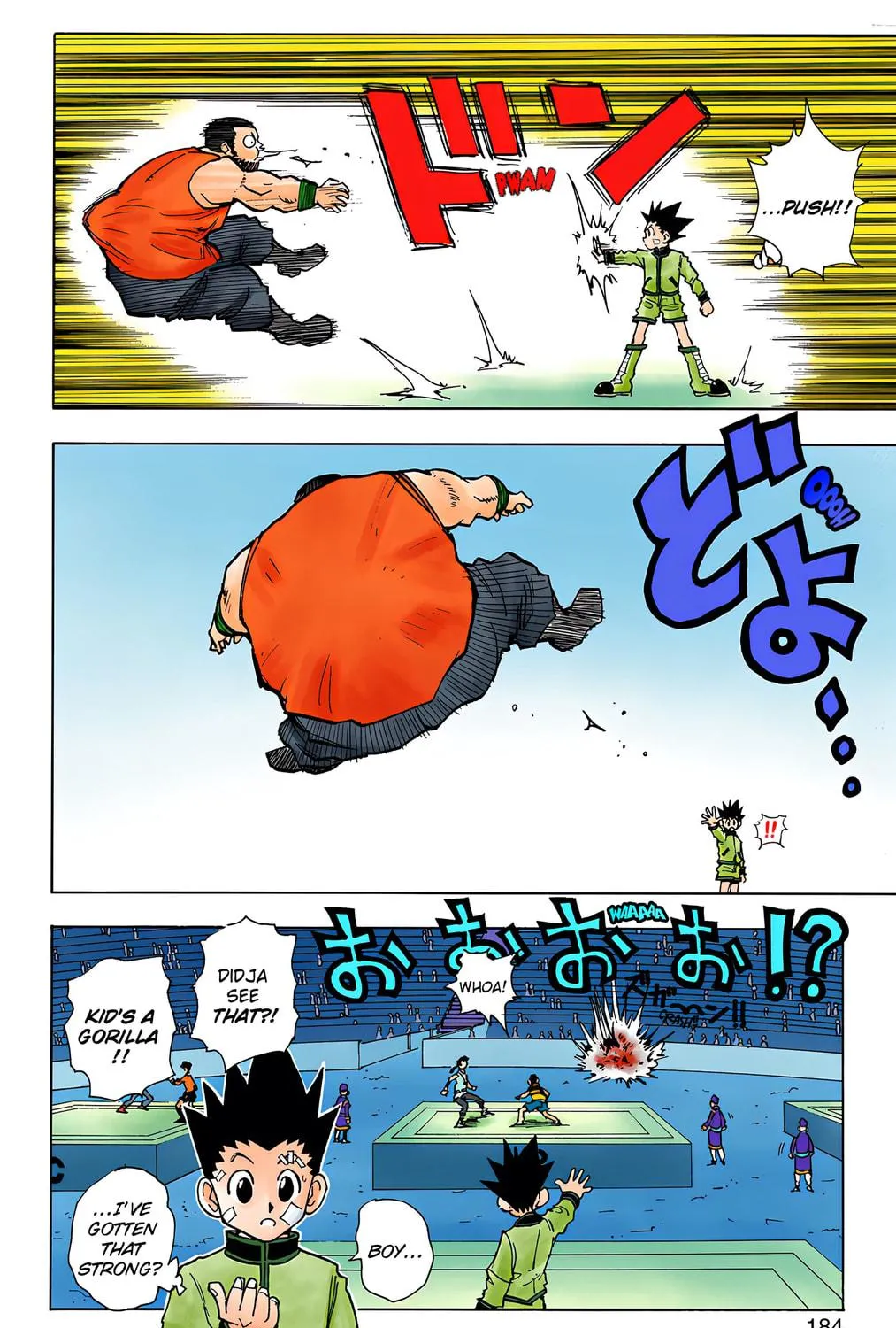 Hunter x Hunter Colored Manga