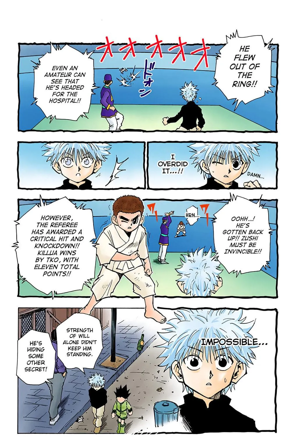 Hunter x Hunter Colored Manga