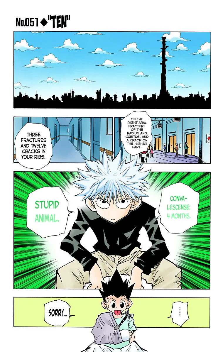 Hunter x Hunter Colored Manga