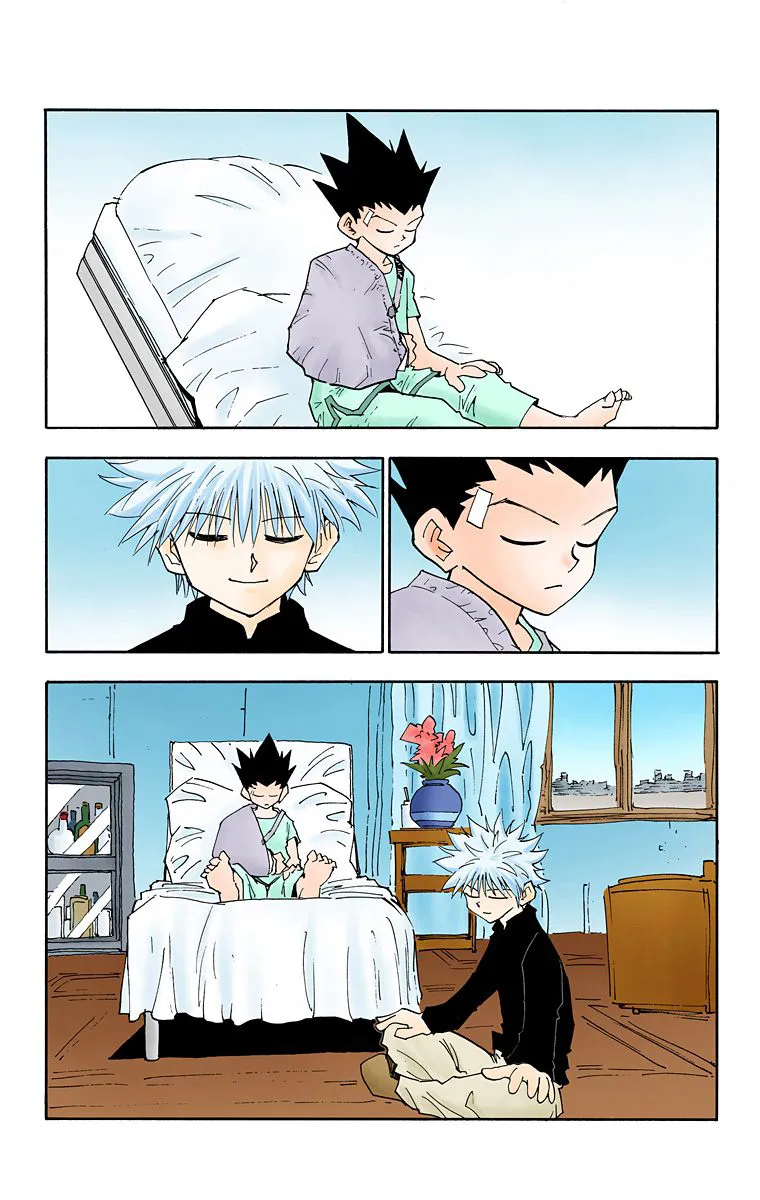 Hunter x Hunter Colored Manga